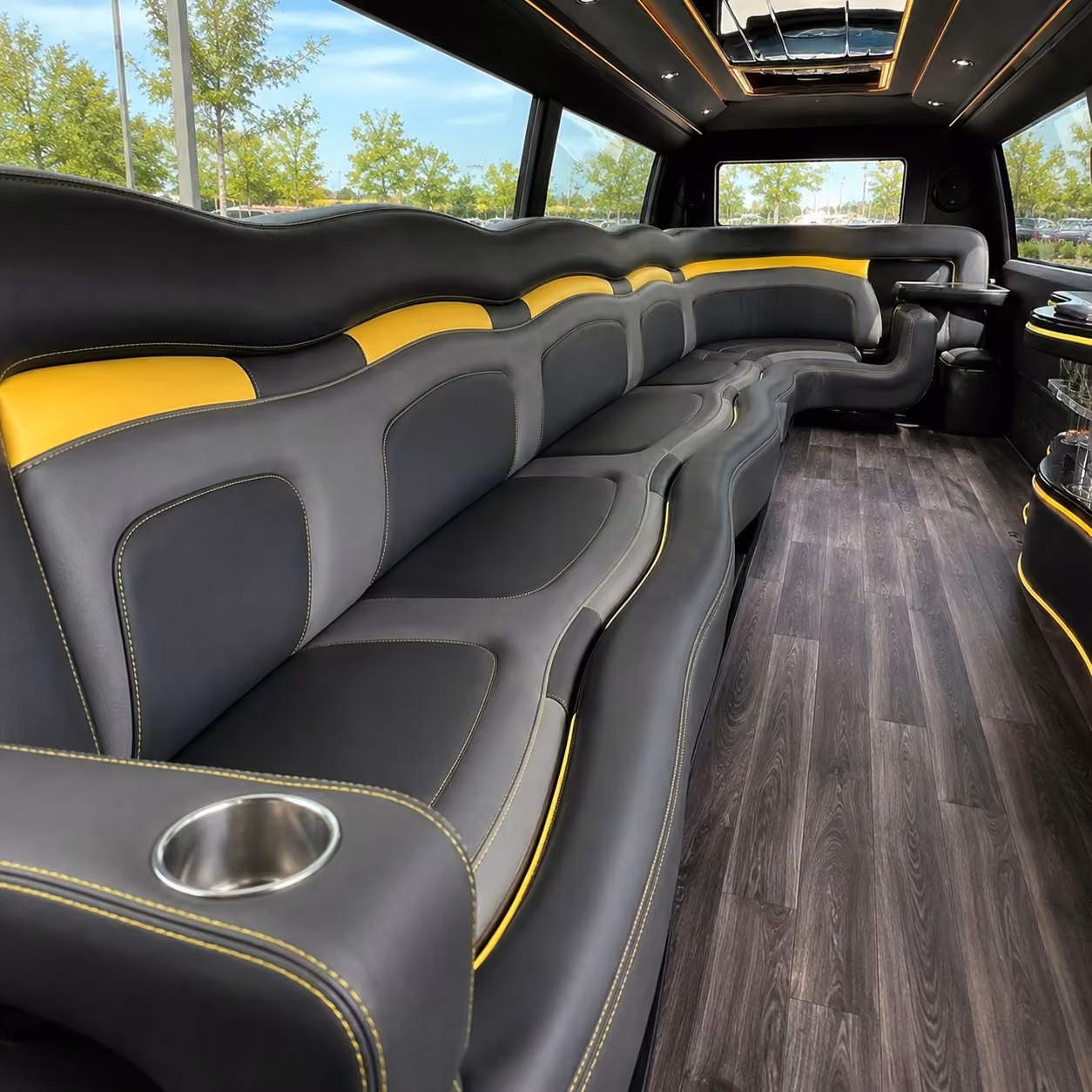 dallas limo interior